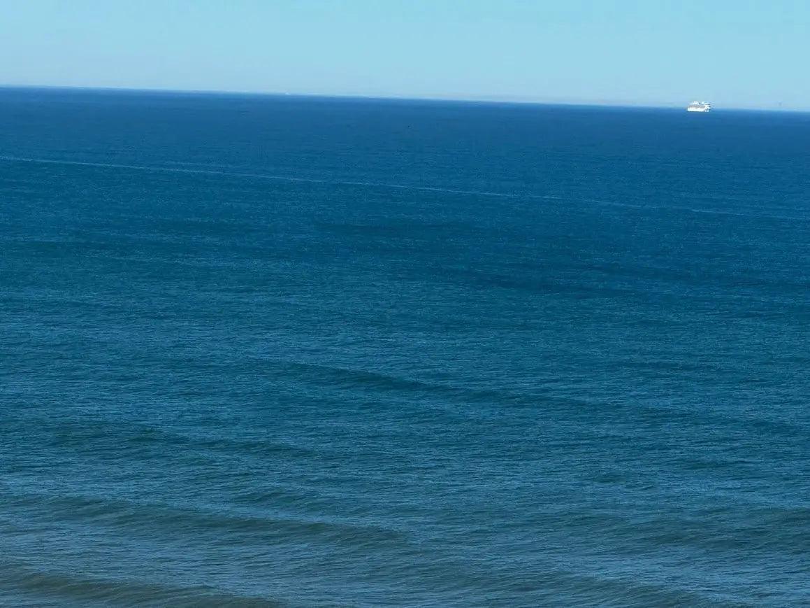 Ocean Health!  Ecology and Sustainability - Marina Korneev