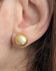11-12mm Golden South Sea Pearl Stud Earrings - Marina Korneev