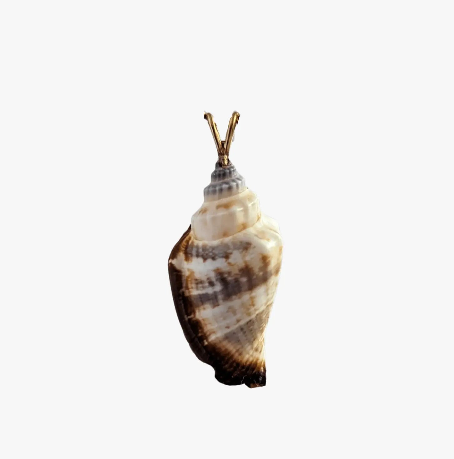 Freshwater Pearl and Shell Pendant - Marina Korneev Fine Pearls