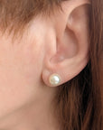 8.0-8.5mm Cream White Akoya Pearl Stud Earrings - Marina Korneev Fine Pearls