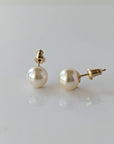 8.0-8.5mm Cream White Akoya Pearl Stud Earrings - Marina Korneev Fine Pearls