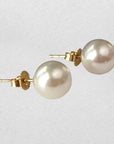 8.0-8.5mm White Akoya Pearl 14K YG Stud Earrings - Marina Pearls