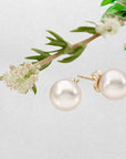8.0-8.5mm White Akoya Pearl 14K YG Stud Earrings - Marina Pearls