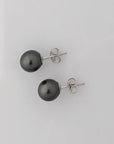 8-9mm DARK Tahitian Pearl Stud Earrings - Marina Korneev