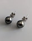 9-10mm Tahitian Pearl Stud Earrings - Marina Korneev Fine Pearls