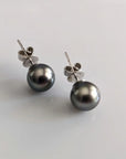 9-10mm Tahitian Pearl Stud Earrings - Marina Korneev Fine Pearls