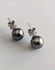 9 - 10mm Tahitian Pearl Stud Earrings - Marina Korneev