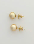 13-14mm Golden South Sea Pearl Stud Earrings - Marina Korneev