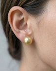 13-14mm Golden South Sea Pearl Stud Earrings - Marina Korneev