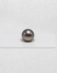 TSP004 - 11 - 12mm Single Tahitian Pearl - Marina Korneev