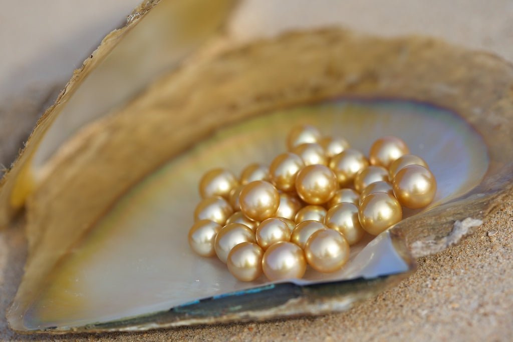 South Sea Pearls: A Connoisseur's Guide - Marina Korneev