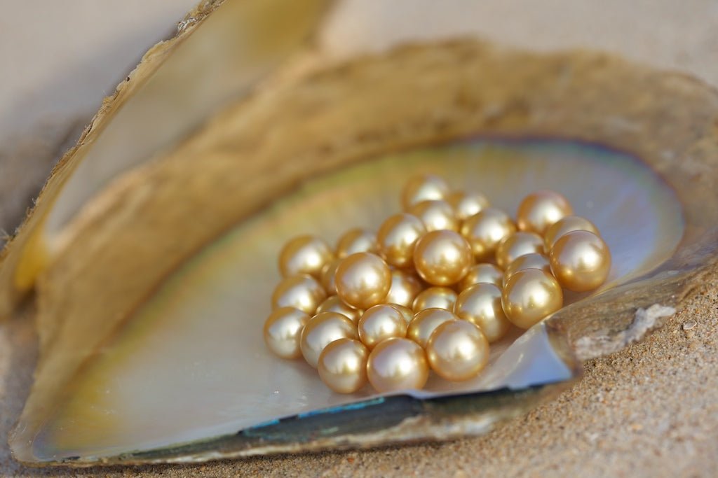 South Sea Pearls: A Connoisseur's Guide - Marina Korneev
