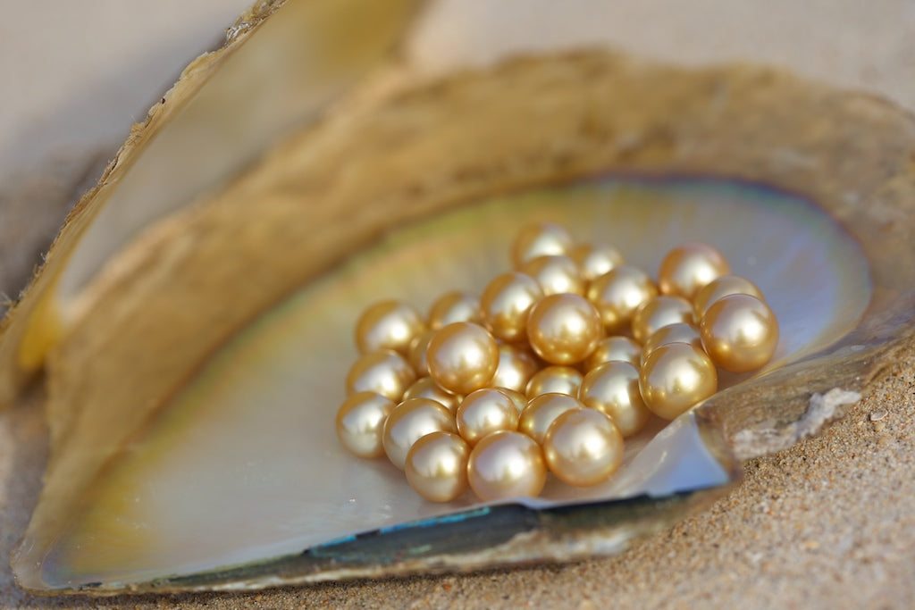 SOUTH  SEA PEARLS