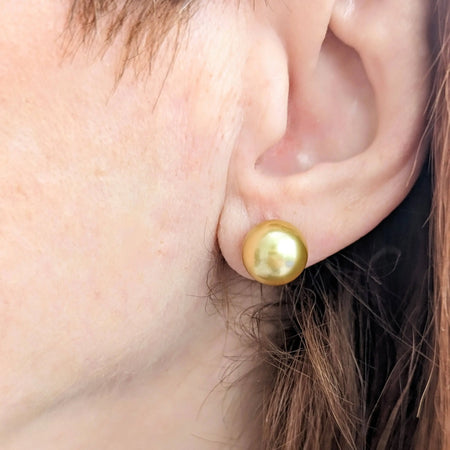Golden South Sea Pearl Stud Earrings Marina Korneev