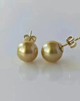 10 - 11mm Golden South Sea Pearl Stud Earrings - Marina Korneev