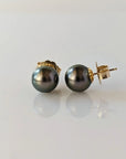 9-10mm Tahitian Pearl Stud Earrings - Marina Korneev Fine Pearls