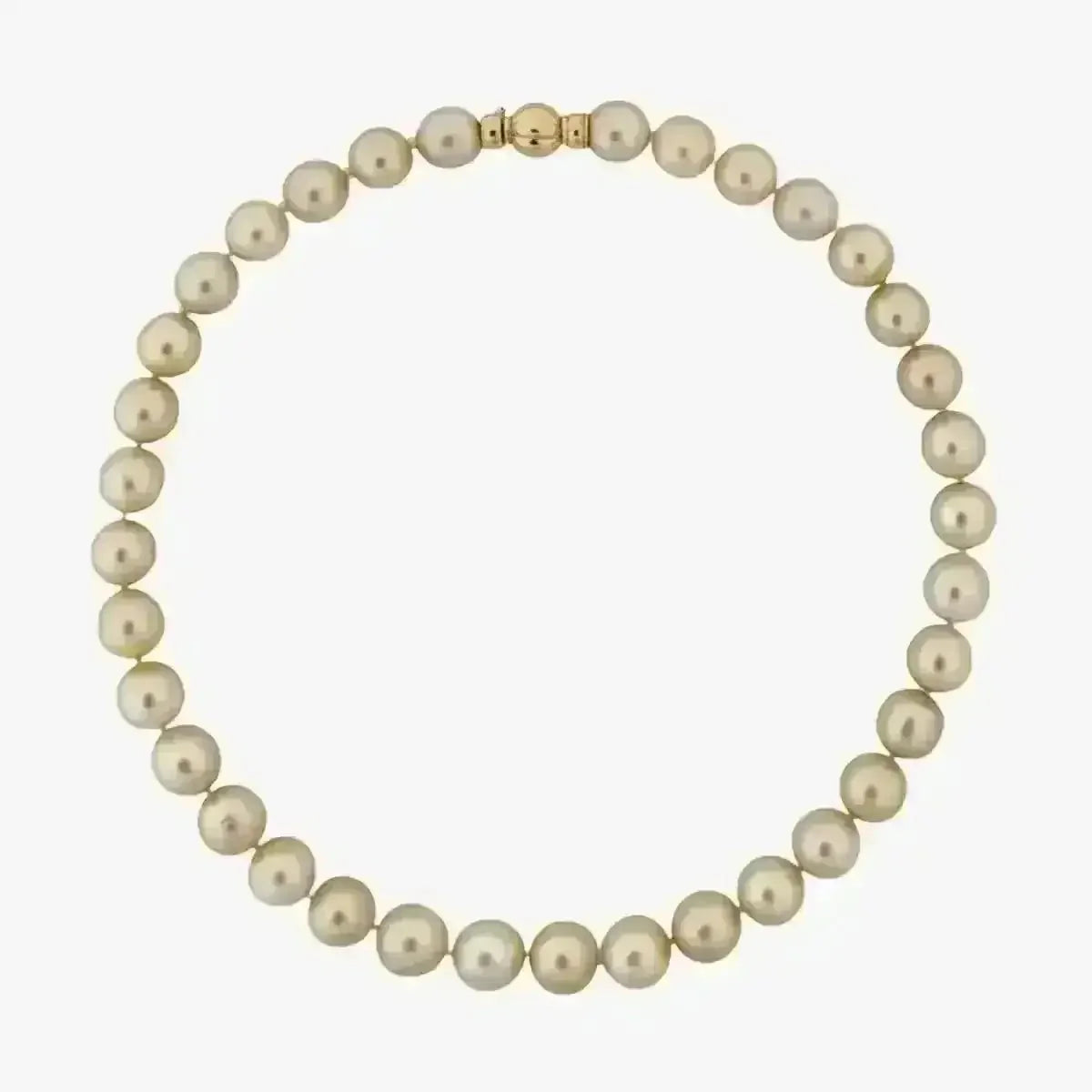 11 - 12mm Golden South Sea Pearl Necklace - Marina Korneev