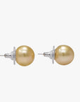 11-12mm Golden South Sea Pearl Stud Earrings - Marina Korneev Fine Pearls