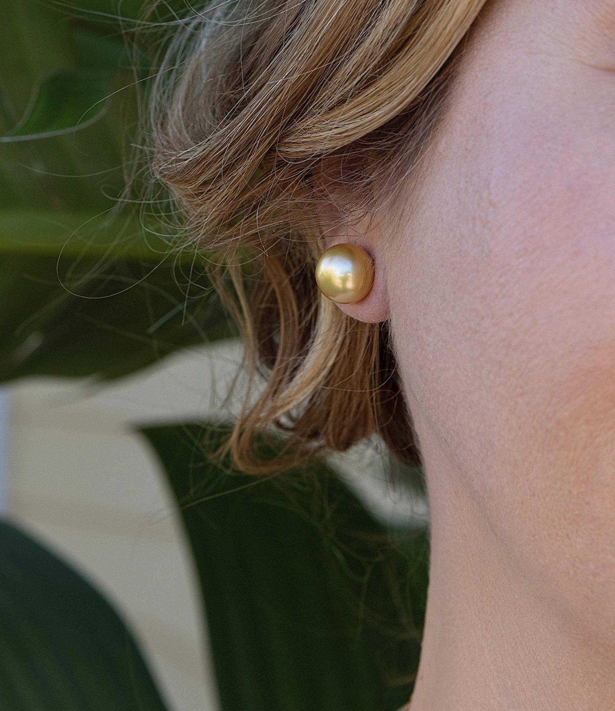 11-12mm Golden South Sea Pearl Stud Earrings - Marina Korneev Fine Pearls