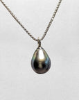 11-12mm Tahitian Pearl Pendant with 14K WG Bail - Marina Pearls