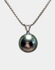 11-12mm Tahitian Pearl Pendant with 14K WG Bail - Marina Pearls