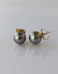 11-12mm Tahitian Pearl Stud Earrings - Marina Korneev Fine Pearls