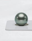 12-13mm Single Tahitian Pearl - Singles and Pairs