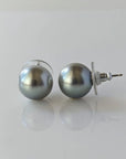 12-13mm Tahitian Pearl Stud Earrings - Marina Korneev Fine Pearls