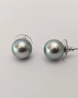 12-13mm Tahitian Pearl Stud Earrings - Marina Korneev Fine Pearls