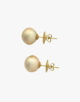 13-14mm Golden South Sea Pearl Stud Earrings - Marina Korneev Fine Pearls