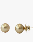 13-14mm Golden South Sea Pearl Stud Earrings - Marina Korneev Fine Pearls