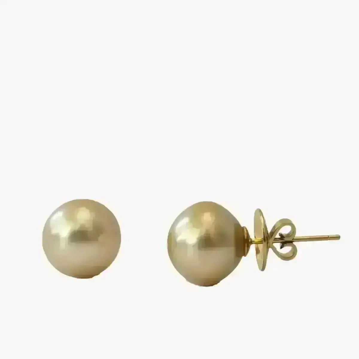 13 - 14mm Golden South Sea Pearl Stud Earrings - Marina Korneev