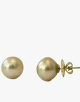 13 - 14mm Golden South Sea Pearl Stud Earrings - Marina Korneev