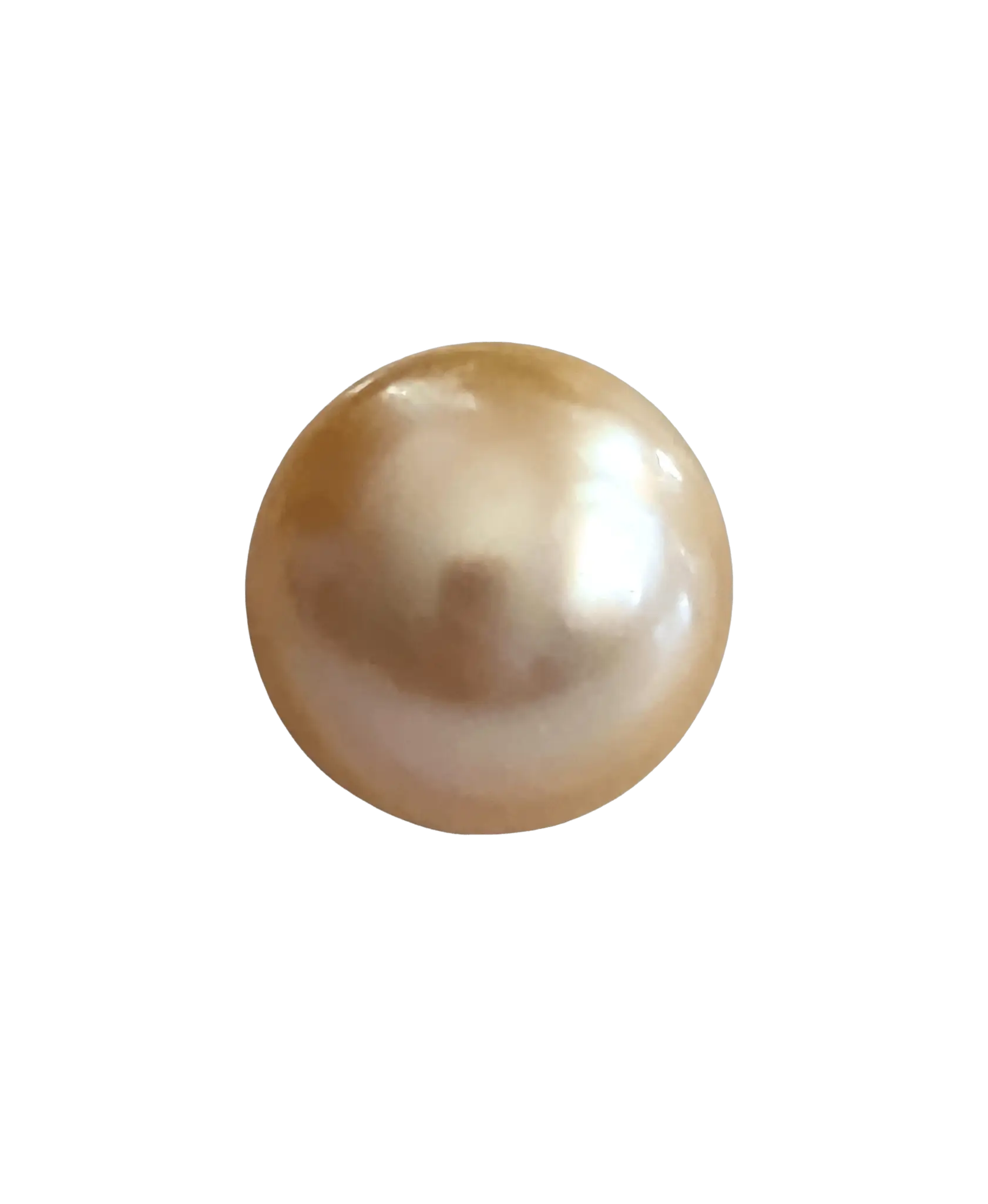 13-14mm Single Golden South Sea Pearl - Marina Korneev Fine Pearls