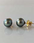 13-14mm Tahitian Pearl Stud Earrings - Marina Korneev Fine Pearls