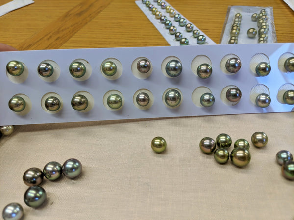 Sorting and selecting Tahitian pearls.