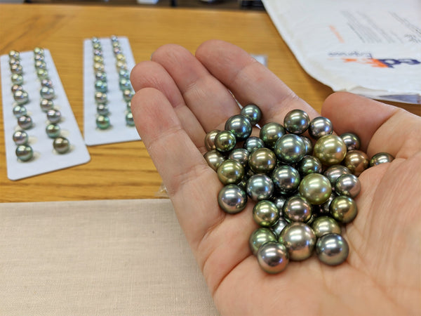 Marina Korneev holding loose Tahitian pearls while sourcing.