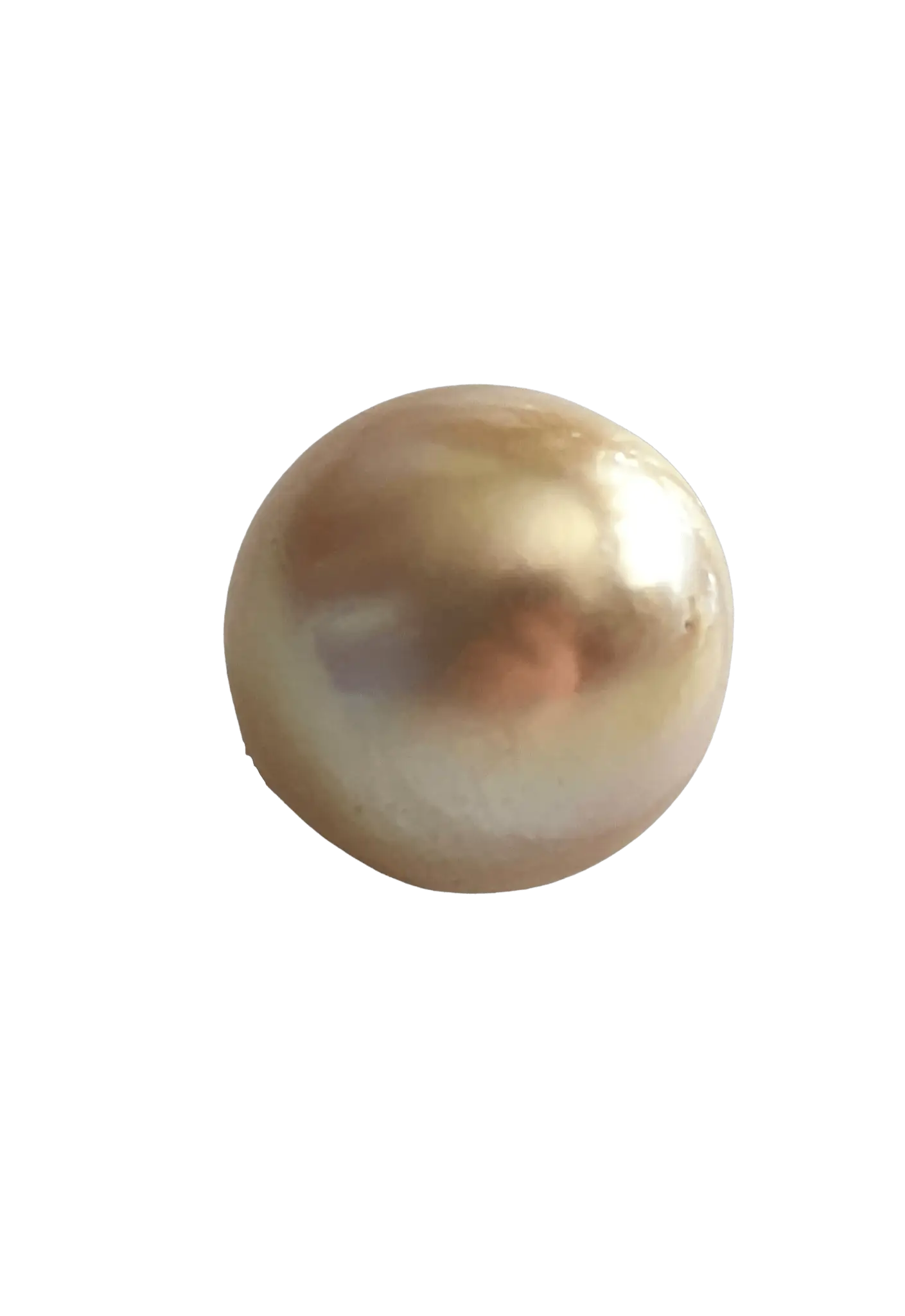 14-15mm Single Golden South Sea Pearl - Marina Korneev Fine Pearls