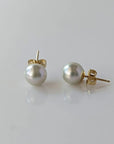 7.5-8.0mm Blue Akoya Pearl Stud Earrings - Marina Korneev Fine Pearls