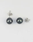 8-9mm DARK Tahitian Pearl Stud Earrings - Marina Korneev Fine Pearls