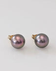 8-9mm SWEET! Tahitian Pearl Stud Earrings - Marina Korneev Fine Pearls