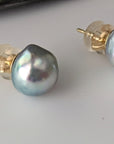 9.0-9.5mm Blue Baroque Akoya Pearl 14K YG Stud Earrings Marina Pearls