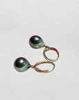 9-10mm Tahitian Pearl 14K YG Dangling Lever-Back Earrings - Marina Pearls