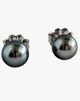 9-10mm Tahitian Pearl Stud Earrings - Marina Korneev Fine Pearls