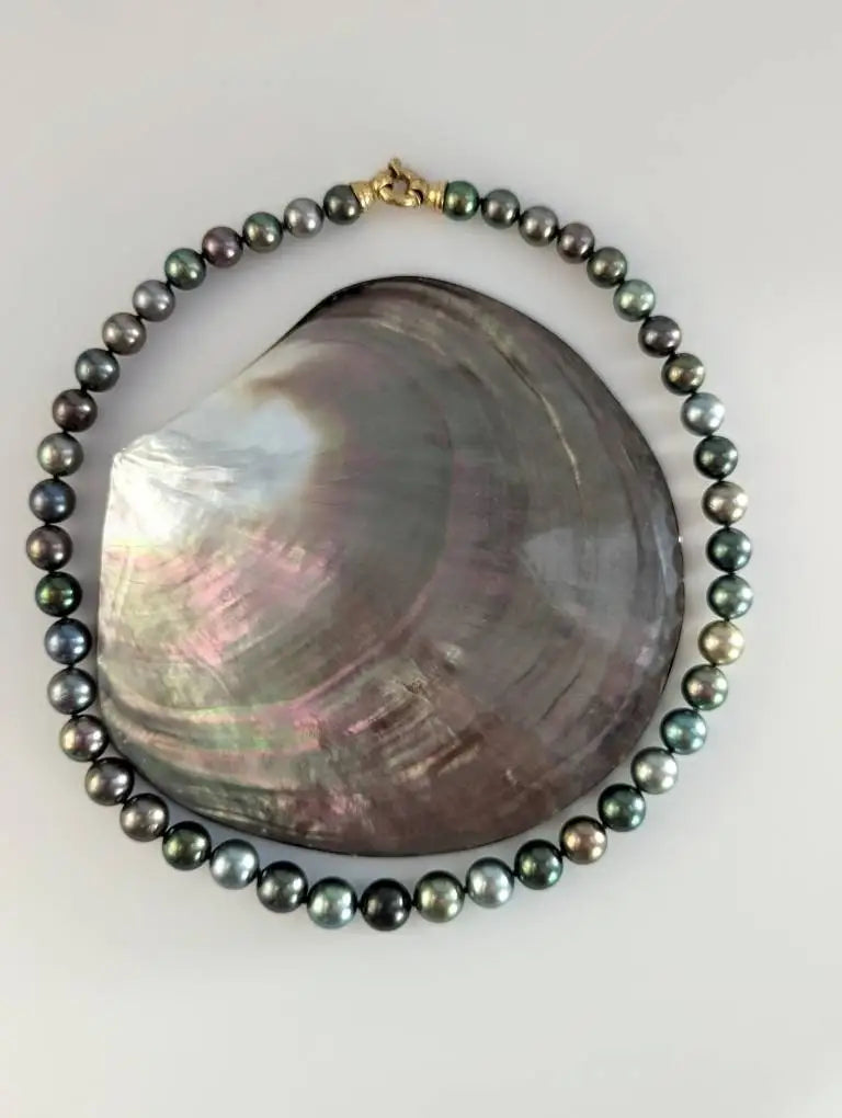 CANDY COLORS! Tahitian Pearl Necklace with 18K Yellow Gold Clasp Marina Pearls