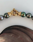 CANDY COLORS! Tahitian Pearl Necklace with 18K Yellow Gold Clasp Marina Pearls