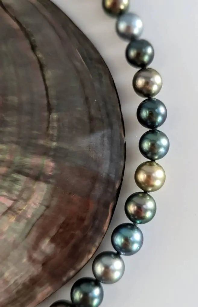 CANDY COLORS! Tahitian Pearl Necklace with 18K Yellow Gold Clasp Marina Pearls