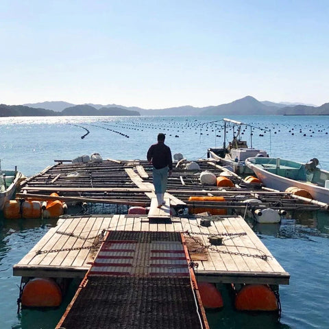 Floating wooden dock platform with orange buoys supporting responsible pearl farming for ocean health