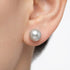 7.5 - 8.0mm Blue Akoya Pearl Stud Earrings Elegant Earrings by Marina Korneev