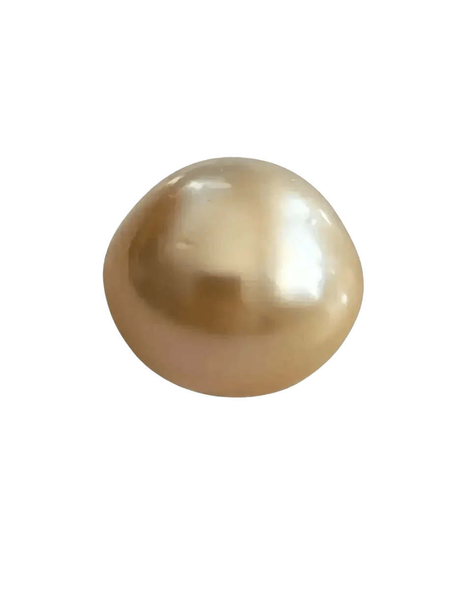 GSSSP007 - 13 - 14mm Single Golden South Sea Pearl - Marina Korneev
